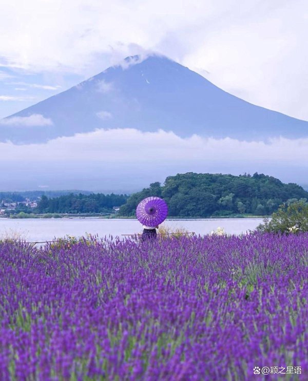 股票配资查询论坛 富士山下河口湖，中国商人入籍日本之梦破碎